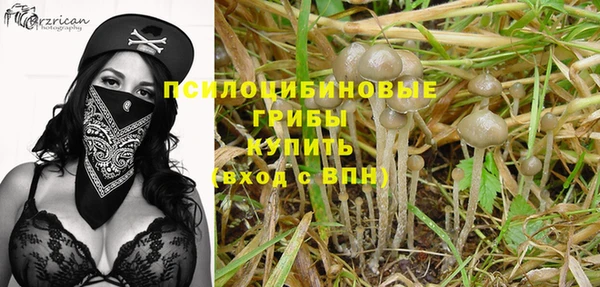 шишки Лиски
