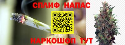2c-b Заводоуковск
