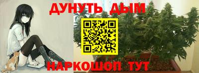 2c-b Заводоуковск