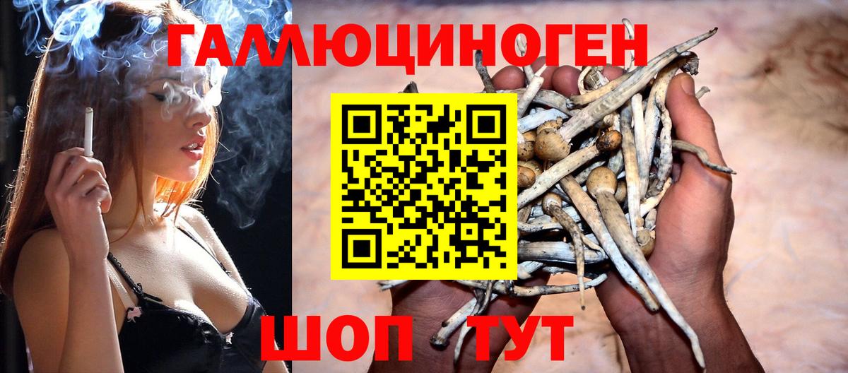 Псилоцибиновые грибы ЛСД Урай