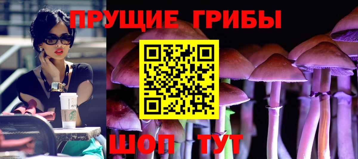 Псилоцибиновые грибы Psilocybine cubensis  Вход с VPN  Урай 
